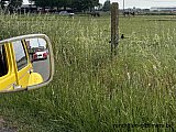 Zandlemig Vlaanderen